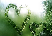 意媒:如果纽卡缺席欧战,托纳利会很乐意重返米兰&后者准备协助.